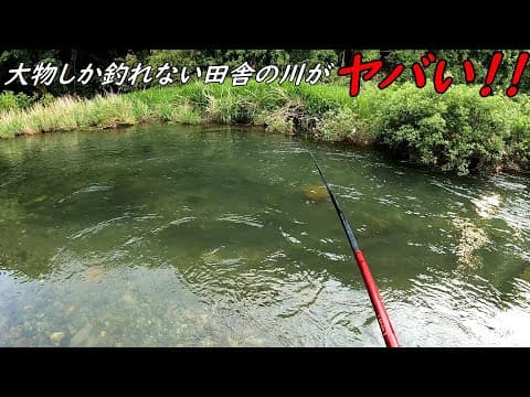 田舎の川が大物ばかりでヤバ過ぎた！！