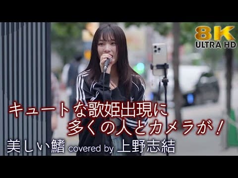【 歌うま 】キュートな歌姫出現に多くの人とカメラが！ 美しい鰭 / スピッツ（ covered by 上ノ堀結愛 ）歌舞伎町路上ライブ 🎧推奨 高音質 8K映像
