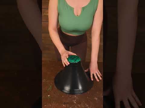 古い宝物を新たな驚きに生まれ変わらせよう！♻️