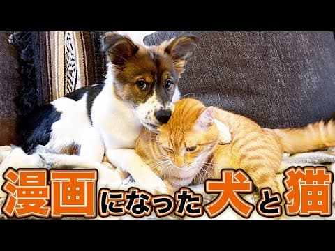 犬と猫のおかげで子供の頃からの夢が叶ったお話
