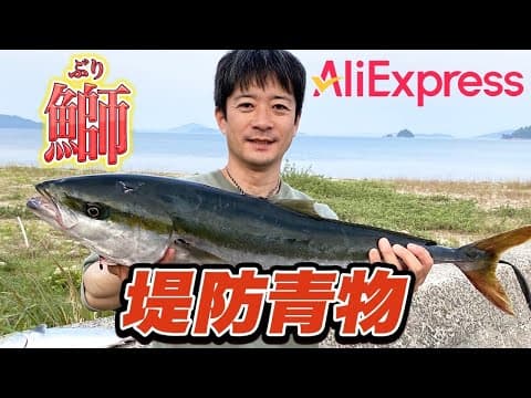 【アリエク】堤防でブリが釣れた！東扇島西公園やうみかぜ公園の泳がせ釣りでも絶対に活躍するリール