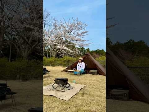 超穴場！お花見&いちご狩りができるキャンプ場見つけたよ！