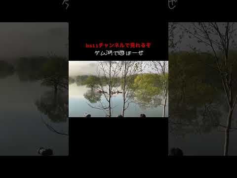 本編はこちら　https://youtu.be/plTNFrL4QTw?si=wILBfeTqG6mPWSmm #じゅんいちダビッドソン #bs11 #キャンプ #ダム湖