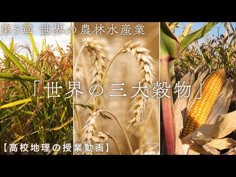 【高校地理】5-6. 世界の三大穀物（コメ、小麦、トウモロコシ） | 5. 世界の農林水産業【解説動画】