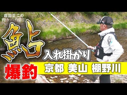 【鮎】爆釣 初心者に勇気を与えるオジサンの入れ掛かり 美山棚野川 背掛かりDNA鮎 あゆ友釣り 森園正二の釣りバカ日記42 泳がせ