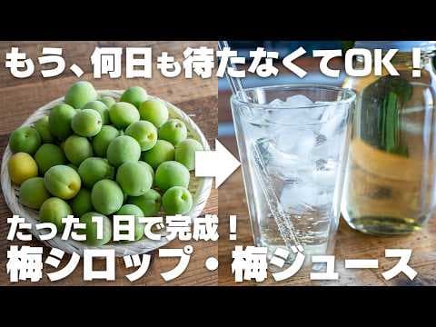 【たった1日で完成】簡単に作れる！梅シロップ！ほったらかしでOK【梅ジュース】