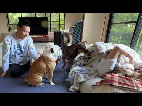 ２ヶ月前まで隅っこで固まってた保護犬…今は朝起きた瞬間「おはよう！」と駆け寄ってくれるまで成長しました！