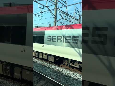 大船駅手前で運転見合わせ中の特急成田エクスプレス号を追い抜くシーン（2025.6.19.16:09） #youtubeshorts