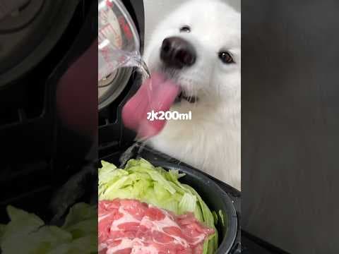 豚レタスごはんをつくってる間によだれかけつくってみました！