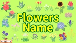 Flowers Name | Talking Flashcards | Video for Kids | フラッシュカードで花の名前をおぼえよう！英語知育アニメ