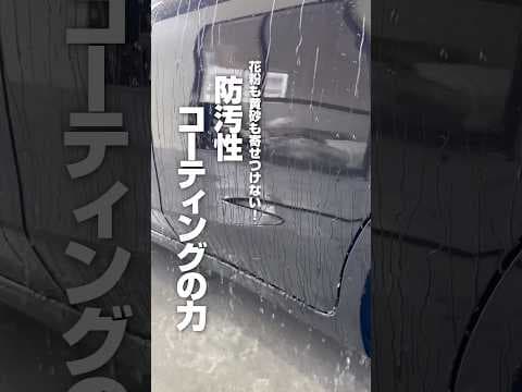 【花粉も黄砂も寄せつけない防汚性コーティングの力】#ながら洗車 #洗車 #洗車大好き #carwash #detailing #プラズマコーティングα #花粉 #黄砂 #ショート #shorts