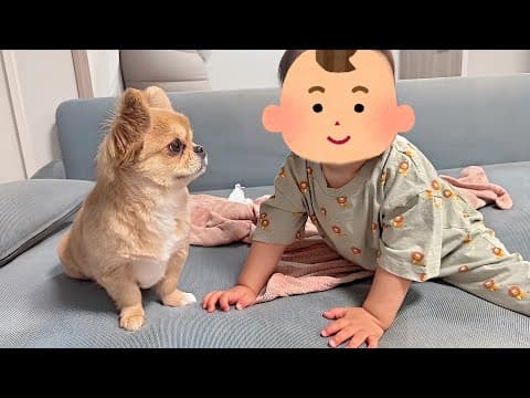 うわうわと喋るようになってきた赤ちゃん