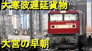 強烈大寒波による遅延貨物列車が大量発生の大宮駅