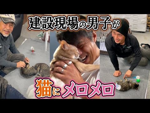 猫のおかげでコミュニケーションが増えた建設現場