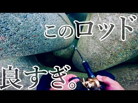 【穴釣り】新しいロッドで大物を狙いに行きました。
