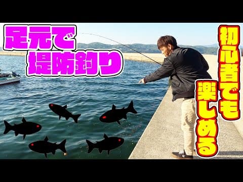 春イカ調査をしながら堤防の足元でお手軽ファミリーフィッシング！！