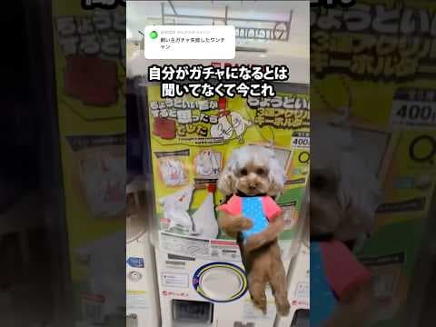 [ナルトダンス] ちょうどいい音がすると思ったら母でした #ちょ母 #ASMR #科目三 #Narutodance #音ゲー #きぐるみ母さん #闻人听書 #一笑江湖 #DJ弹鼓版 #viral