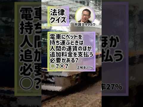 Q.犬と電車乗ったら料金2倍って本当！？#弁護士 #法律 #ダンス #dance #lawyer #SNS #shorts