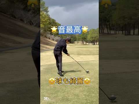 音最高！球も綺麗　#shorts #ゴルフ #ゴルフスイング #golf #golfswing