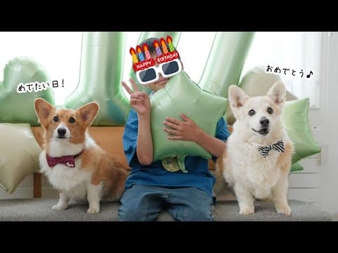 お留守番続きでごめん！ 10才息子のバースデー【愛犬と暮らす家族Vlog】