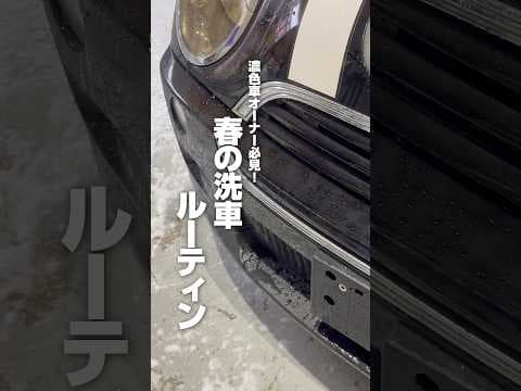 【濃色車オーナー必見！春の洗車ルーティン】#ながら洗車 #洗車 #車好き #洗車大好き #ルーティン #濃色車 #carwash #スノーシャンプー #高圧洗浄機 #ショート #shorts