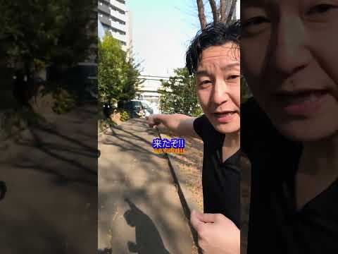 靴のかかと以外を踏んでいる男を発見！【世界アメージングヒューマン】