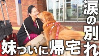 【知床・網走】もう二度と妹と北海道旅ができないかもしれません・・・【車中泊】