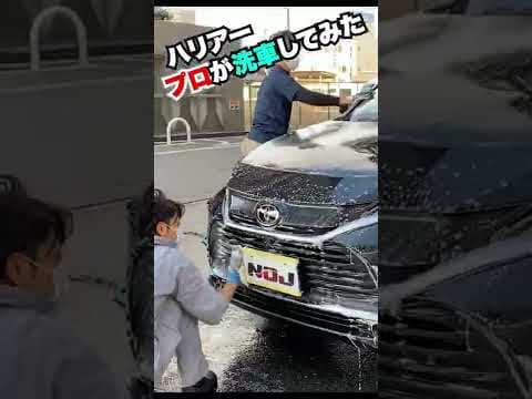 ハリアー プロが洗車しました！#Shorts