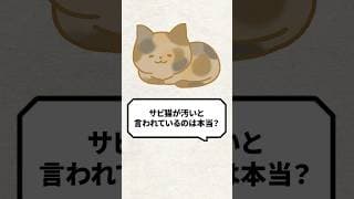 Q：サビ猫が汚いって言われてるのは本当？ #猫 #保護猫 #ねこ