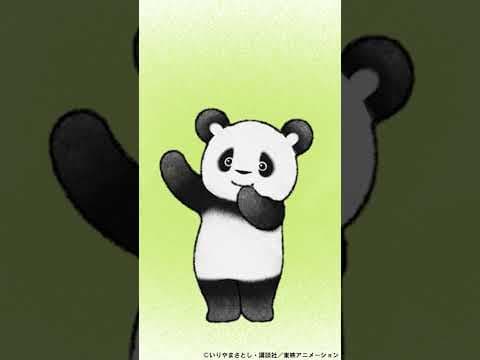 🐼ふわもち♡パンダさんの　ゆるかわ たいそう♪🐼　きゅー☆きゅー☆しよう♪きゅうり🥒きゅうり🥒きゅうり🥒♬　#shorts    #手遊びうた #panda #ダンス #保育士 #踊ってみた
