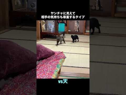 Kuu Knows Not Everyone Wants to Play