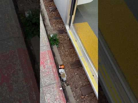 ながらスマホしてると落ちる駅