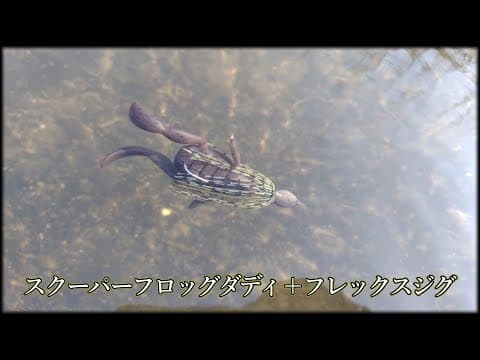 【スクーパーフロッグダディ】これフレックス感ある？【フレックスジグ】