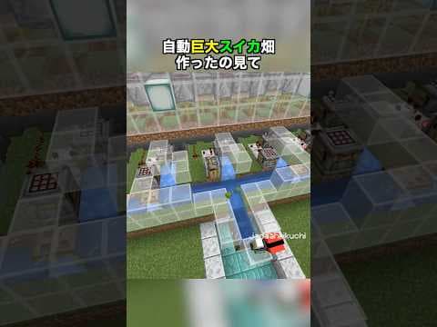 【超巨大】自動スイカ畑を作ってみた