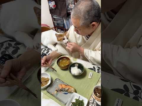 住職の朝ごはん。たけのこの煮物 焼き鮭 コシアブラの胡麻和え ごはんと味噌汁