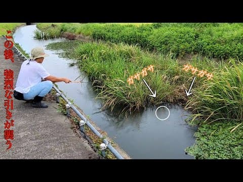 用水路の草が『ガサガサ』動くから、釣りエサを投げ入れてみたら…