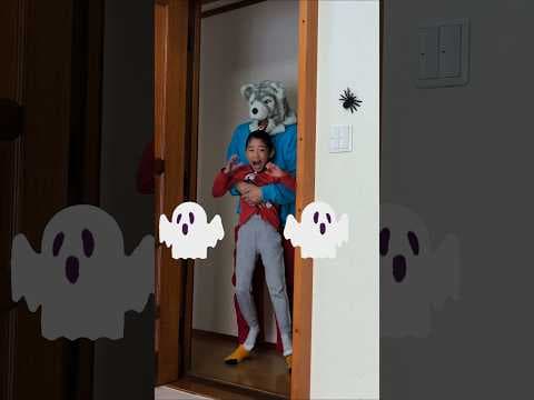Newest Mochi funny Best video 😂😂😂