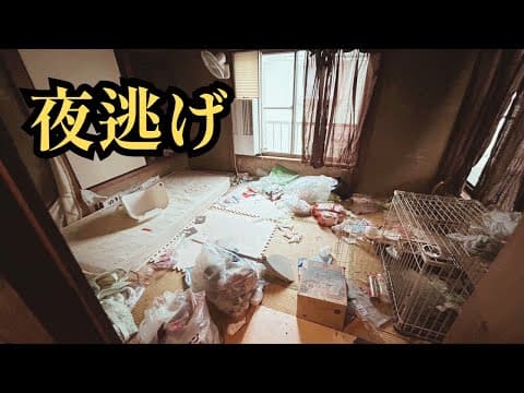 【夜逃げ】そこにはたくさんの動物達が残されていた。強制執行までのタイムリミットが迫る中、猫19頭・犬1頭をレスキュー！