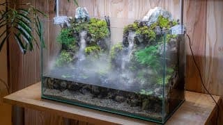 Making an Aquaterrarium with two flowing waterfalls