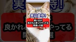 実は虐待！飼い主が良かれと思ってやってる間違い5選を獣医師が解説 #保護猫 #獣医師 #cat #猫 #ネコ #ねこ #ねこのいる生活 #猫のいる暮らし #猫動画 #愛猫 #猫好きさんと繋がりたい