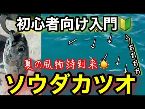 【入門】初心者でも40センチ級の館山ソウダカツオが狙える仕掛けとタナはコレ！ソウダカツオ釣り入門2025.6