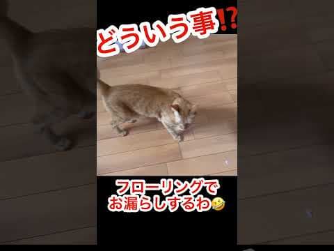 夜勤明けから帰った家の惨劇