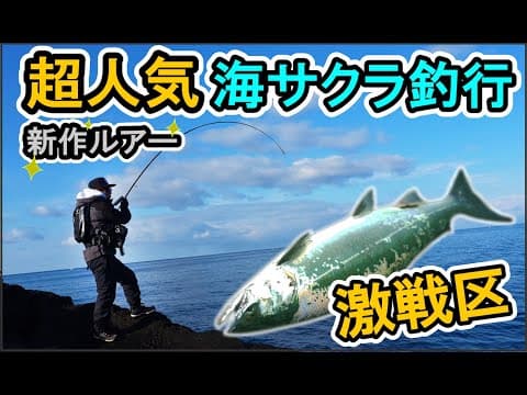 【超人気 激戦区】NEWアイテムで楽しむ 北海道 海サクラ釣行