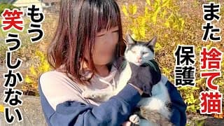 【捨て猫保護】何故か引き寄せられてしまう不思議な縁