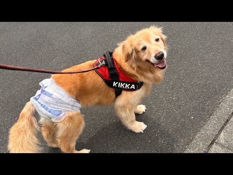 抗がん剤治療を勧められていますが…悩んでます