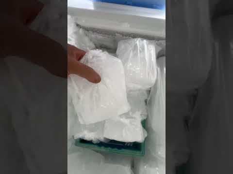 海水を凍らせた「海水氷」VS「真水氷」──違いを知れば、魚の鮮度が変わる！食中毒予防にも最適。釣太郎の海水氷は１キロと３キロありますが、釣り人から絶大な支持を得ています。#Shorts