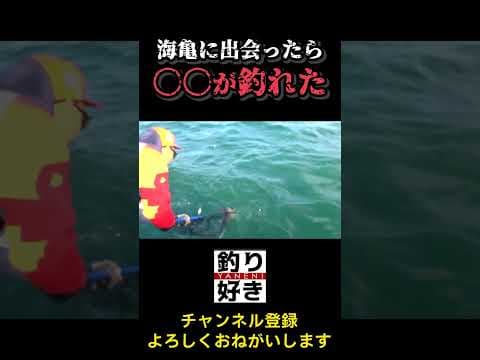 【衝撃】ウミガメ見た後に〇〇が釣れた