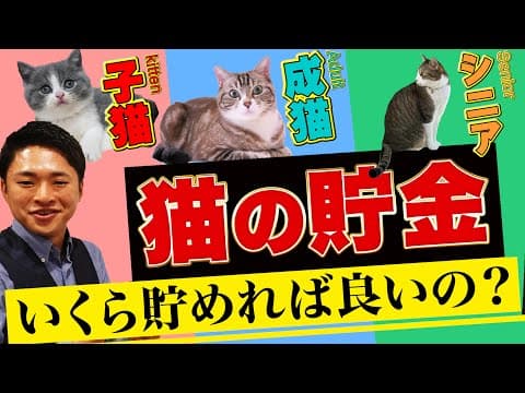 【年齢別】猫ライフに必要な「生活費」と「貯金額」を徹底解説します！