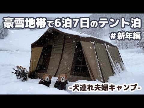 2025 新年編【雪中キャンプ】秋田県の豪雪地帯で年末年始を犬とテントで過ごした記録 ～ 6泊7日年越し雪中キャンプ（後編） -犬連れ夫婦キャンプ-