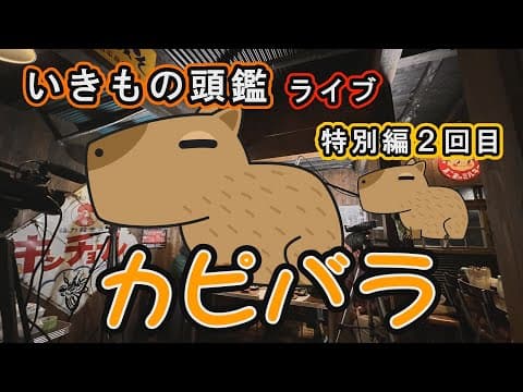 いきもの頭鑑ライブ　カピバラ編２回目　2024/01/25